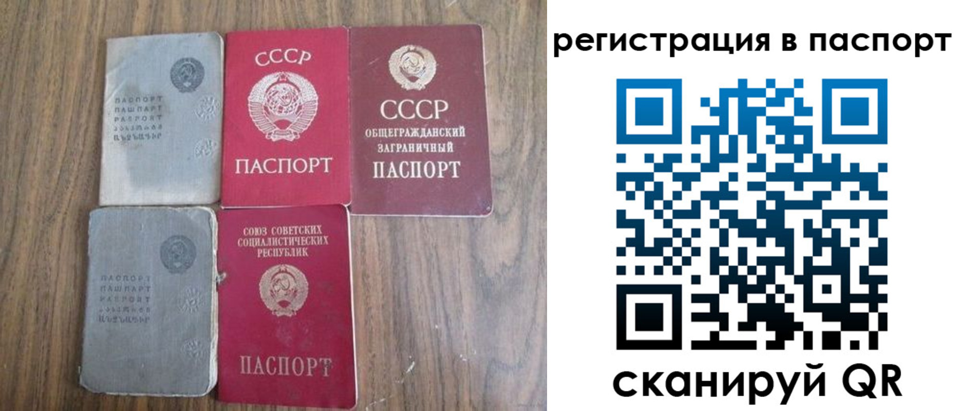временная регистрация госуслуги в Оренбургской области